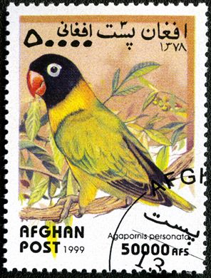 Afeganistao - 1999 - Papagaios - 50000Af