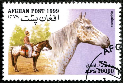 Afeganistao - 1999 - Cavalos - 30000Af