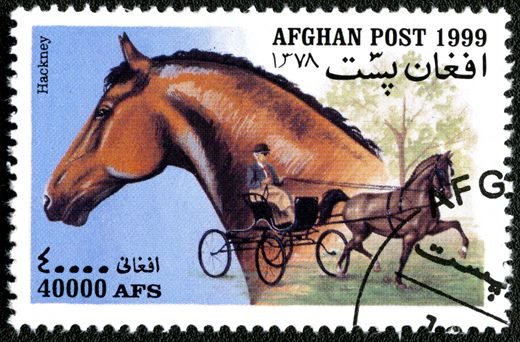 Afeganistao - 1999 - Cavalos - 40000Af