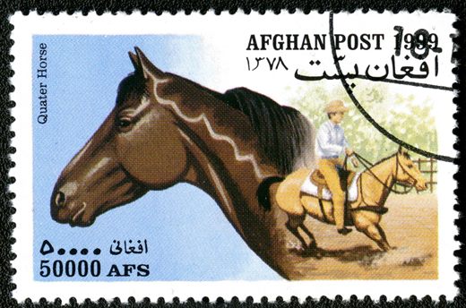 Afeganistao - 1999 - Cavalos - 50000Af