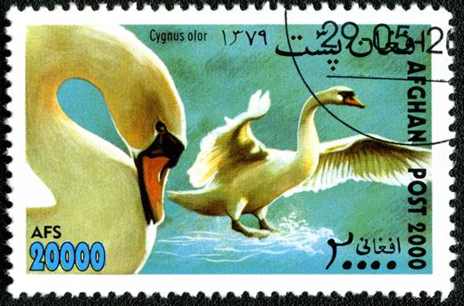 Afeganistao - 2000 - Aves - 20000Af