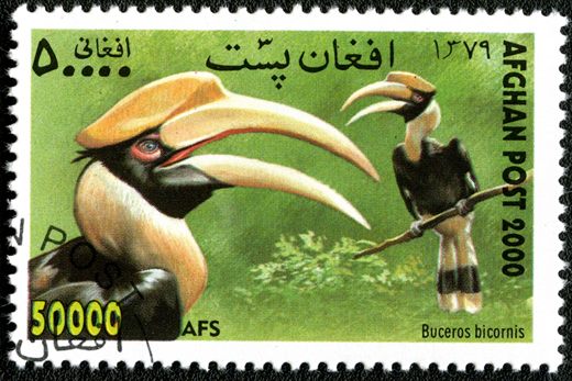 Afeganistao - 2000 - Aves - 50000Af