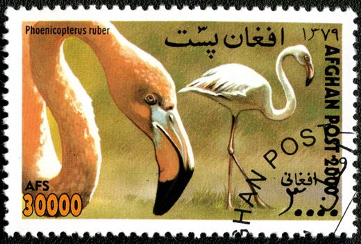 Afeganistao - 2000 - Aves - 30000Af