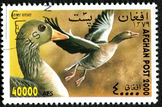 Afeganistao - 2000 - Aves - 40000Af