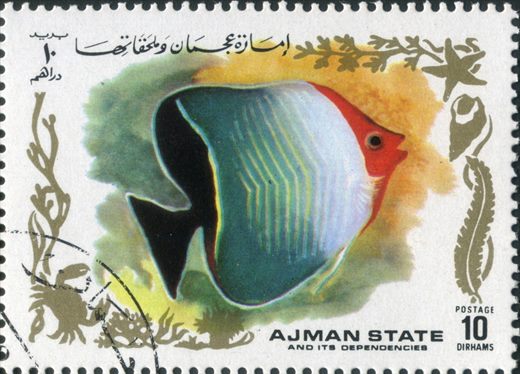 Ajman - 1972 - Peixes Tropicais - 10Dh
