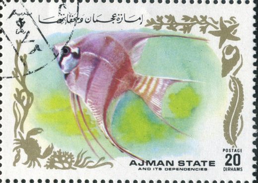 Ajman - 1972 - Peixes Tropicais - 20Dh