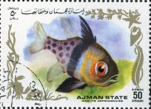 Ajman - 1972 - Peixes Tropicais - 50Dh