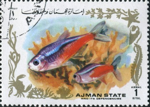 Ajman - 1972 - Peixes Tropicais - 1R