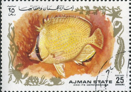 Ajman - 1972 - Peixes Tropicais - 25Dh