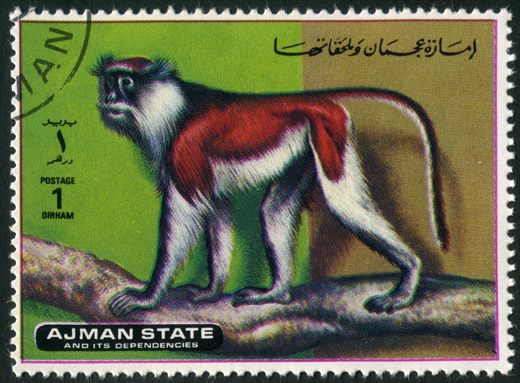 Ajman - 1972 - Macacos - 1Dh