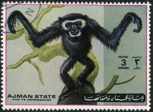 Ajman - 1972 - Macacos - 3Dh