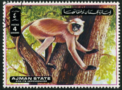 Ajman - 1972 - Macacos - 4Dh