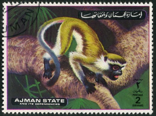 Ajman - 1972 - Macacos - 2Dh