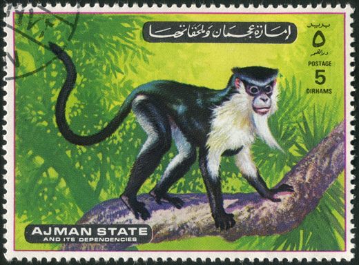Ajman - 1972 - Macacos - 5Dh