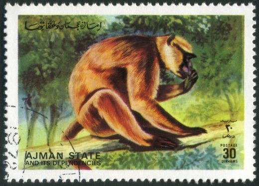 Ajman - 1972 - Macacos - 30Dh