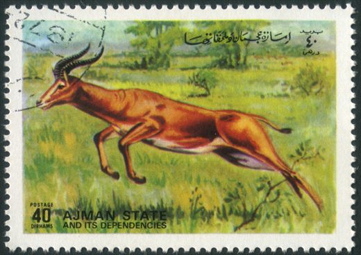 Ajman - 1972 - Animais Selvagens - 40Dh