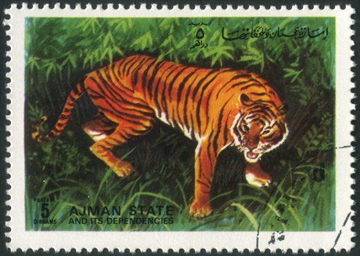 Ajman - 1972 - Animais Selvagens - 5Dh