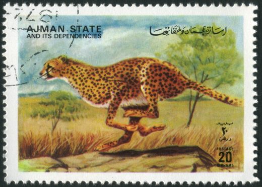 Ajman - 1972 - Animais Selvagens - 20Dh