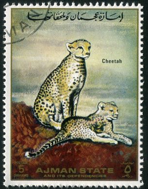 Ajman - 1972 - Fauna com Crias - 5Dh