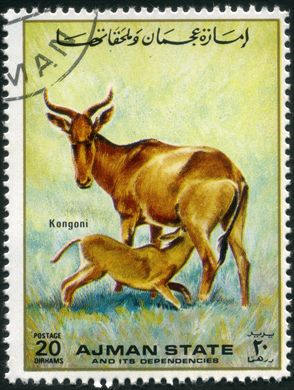Ajman - 1972 - Fauna com Crias - 20Dh