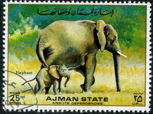 Ajman - 1972 - Fauna com Crias - 25Dh