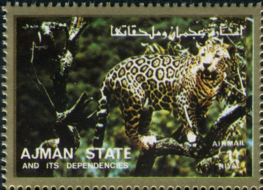 Ajman - 1972 - Fauna Aerea - 1R