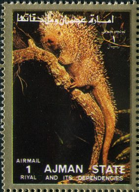 Ajman - 1972 - Fauna Aerea - 1R