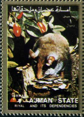 Ajman - 1972 - Fauna Aerea - 1R