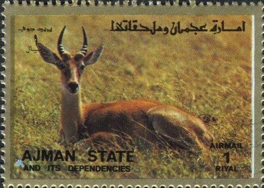 Ajman - 1972 - Fauna Aerea - 1R