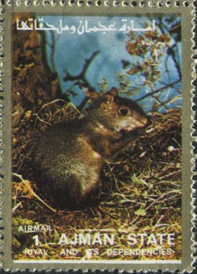 Ajman - 1972 - Fauna Aerea - 1R