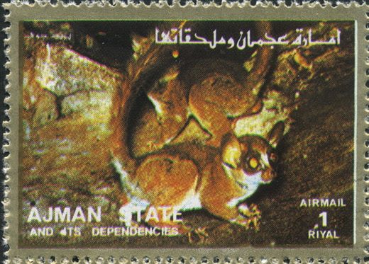 Ajman - 1972 - Fauna Aerea - 1R