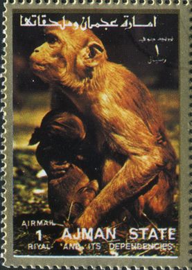 Ajman - 1972 - Fauna Aerea - 1R