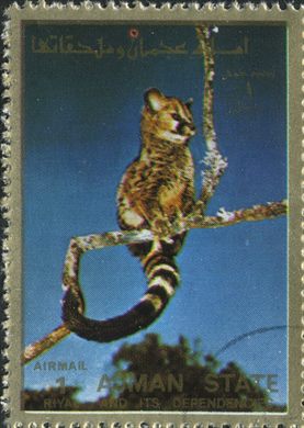 Ajman - 1972 - Fauna Aerea - 1R