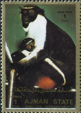 Ajman - 1972 - Fauna Aerea - 1R