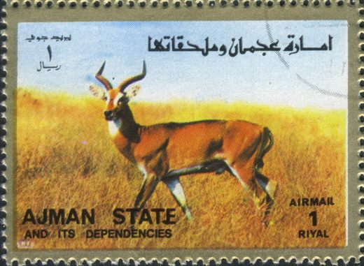Ajman - 1972 - Fauna Aerea - 1R