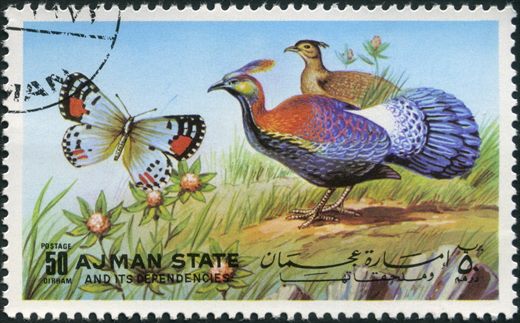 Ajman - 1972 - Borboletas e Aves - 50Dh