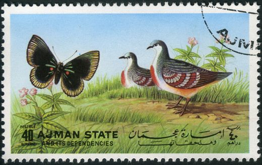 Ajman - 1972 - Borboletas e Aves - 40Dh