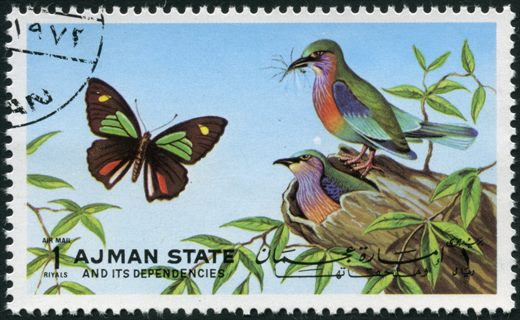 Ajman - 1972 - Borboletas e Aves - 1R