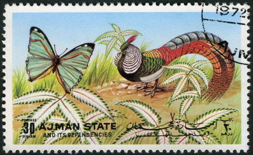 Ajman - 1972 - Borboletas e Aves - 30Dh