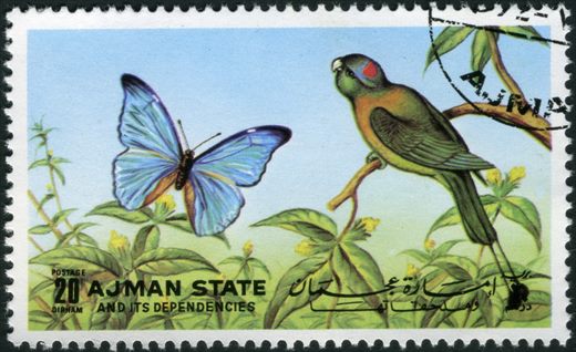 Ajman - 1972 - Borboletas e Aves - 20Dh