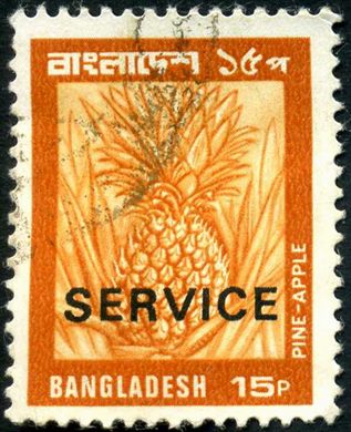 Bangladesh - 1973 - Oficial - Ananas - 15Paisa