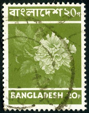 Bangladesh - 1973 - Definitivos - Hibisco - 20Paisa