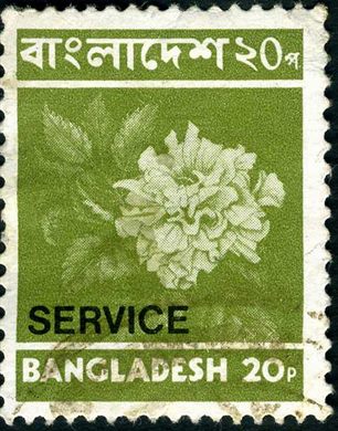 Bangladesh - 1973 - Oficial - Hibisco - 20Paisa