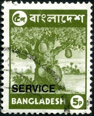 Bangladesh - 1973 - Oficial - Jaqueira - 5Paisa