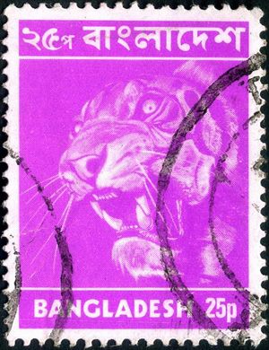 Bangladesh - 1973 - Imagens do Bangladesh - Tigre de Bengala - 25P