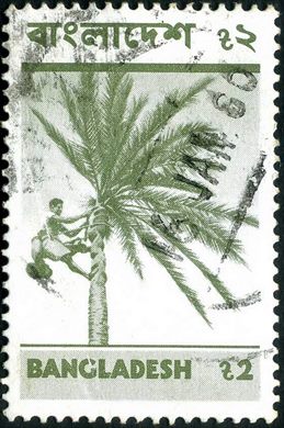 Bangladesh - 1973 - Imagens do Bangladesh - Tamareira - 2T