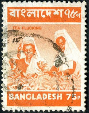 Bangladesh - 1973 - Imagens do Bangladesh - Apanha de Cha - 75P