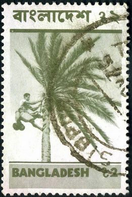 Bangladesh - 1973 - Imagens do Bangladesh - Tamareira - 2T