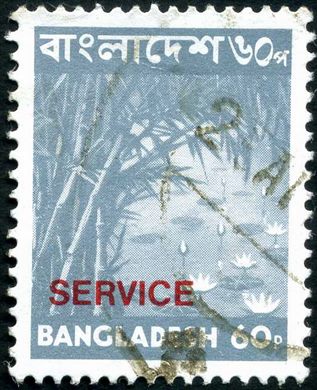 Bangladesh - 1976 - Imagens do Bangladesh - Bambual - 60P (Service)