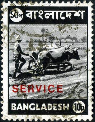 Bangladesh - 1976 - Imagens do Bangladesh - Lavoura com Bois - 10P (Service)